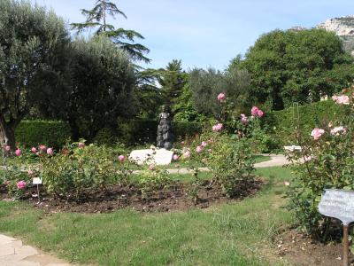 2006年夏の旅　～モナコ編（グレース王妃のバラ園）～