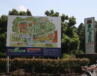 佐倉草ぶえの丘バラ園