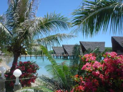 ヌーメア訪問記