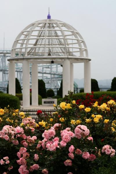 八景島シーパラダイス「丘の上広場バラ園」