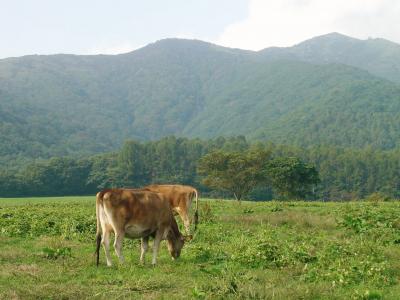 上蒜山への登山と蒜山高原の風景