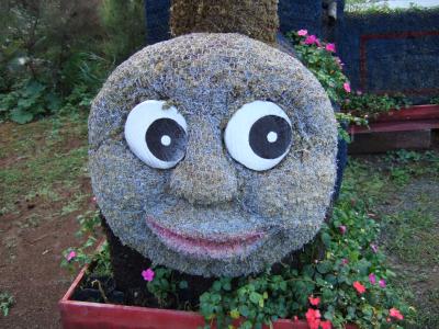 【熱海の散歩道。】