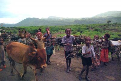 エチオピア南北周遊１７日間?アルバミンチヘ