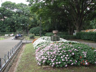 久しぶりの東京ウォーキングその?日比谷公園