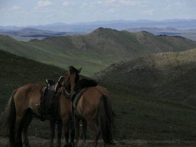 タオントルゴイット山を目指す乗馬トレッキング＆モンゴル建国８００周年イベント６日間