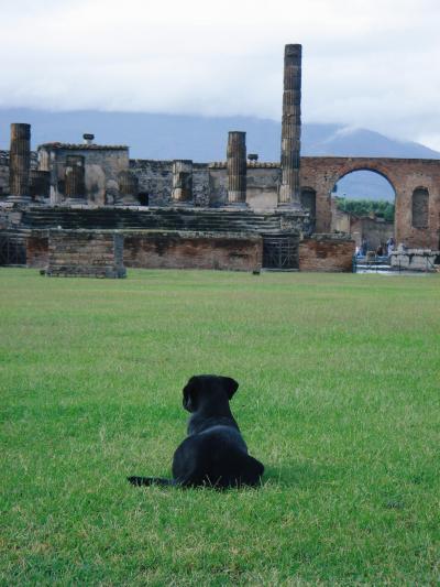 ポンペイ行ったり来たり♪