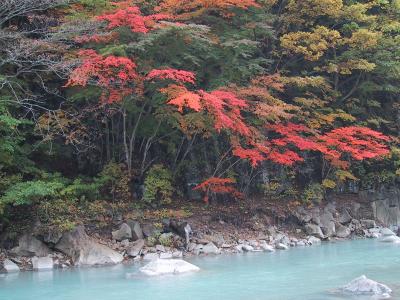 今年はあおずけ、紅葉シーズン