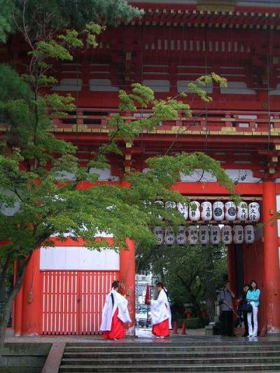 京都遠征?雨の京都篇