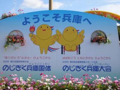 コスモスとのじぎく？を訪ねて