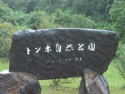 徳島・高知1,500kmドライブの旅：トンボ自然公園