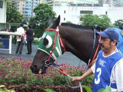 2006　香港＆澳門−２日目：競馬と香港グルメ！