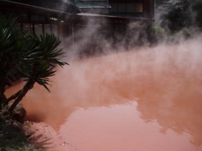 西日本旅行(?大分)