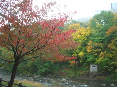 トンボ飛び交う秋の北海道（定山渓）
