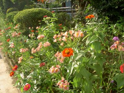 墓参りのついでに…寄り道その３　いよいよ墓参り