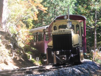 赤沢自然休養林で森林鉄道体験