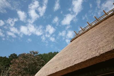 富士山一周ブラリ旅=西湖いやしの里根場編=