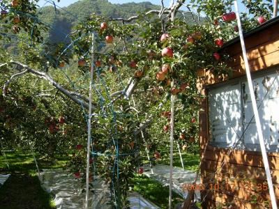 ロマンチック街道の旅