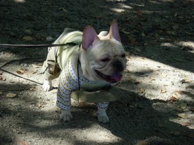 岡山にいってきた~その2~