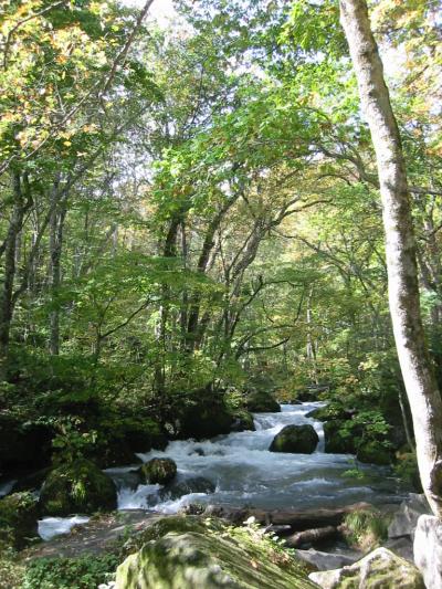 奥入瀬早足ウォーキング