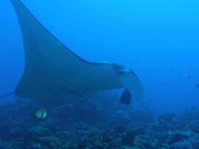 那覇祭りの旅　ファイナル？！（その5）