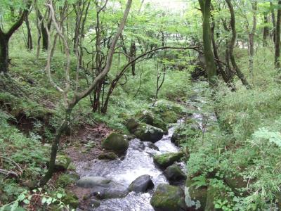 雨ばっかりの那須ドライブ旅行