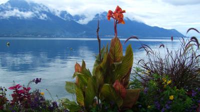 スイス鉄道の旅（モントルー Montreux）