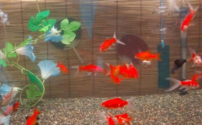 品川水族館de涼む~エプソンアクアスタジアム