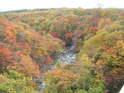 ☆紅葉を拝みに☆