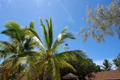 ニューカレドニア・ショートトリップ その2 アメデ灯台島