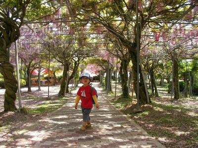 世羅ゆめ公園と世羅ふじ園