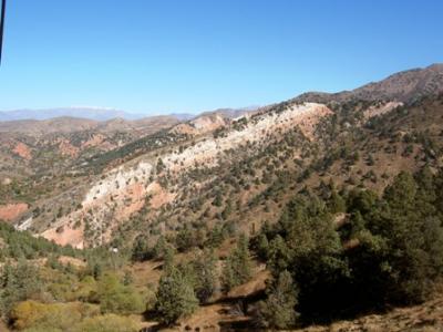 ウズベキスタンへ向かって~タシケント→ブハラ~