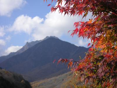 八ヶ岳へ紅葉を求めて