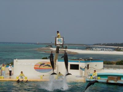 2002年新年の沖縄旅行（その３中・北部−２）