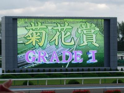 競馬場に行ってきた