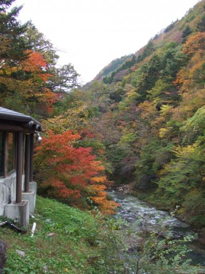 秋の湯西川温泉