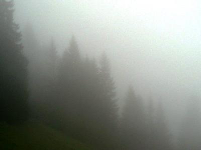 スイス旅行ハイライト写真速報【411】雨もまたよしエシネンゼー