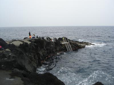 伊豆大島で潜りました（2）