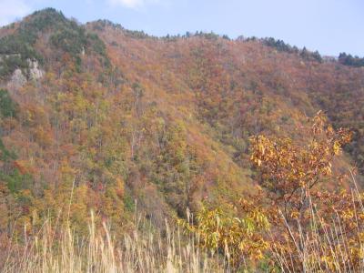 郡上八幡～せせらぎ街道