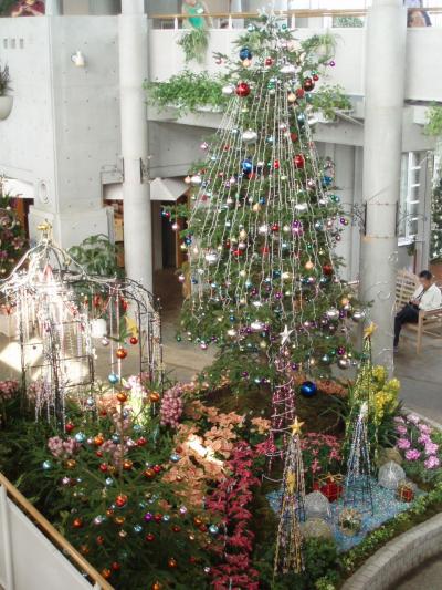 千葉市☆花の美術館のフロラールクリスマス☆