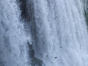 ブラジルdeイグアスの滝
