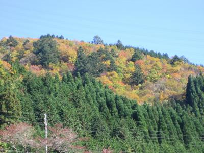 せせらぎ街道で明宝へ・・・