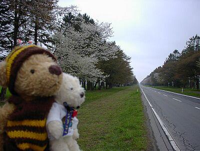 春の北海道に行ってきたよ～！　その１