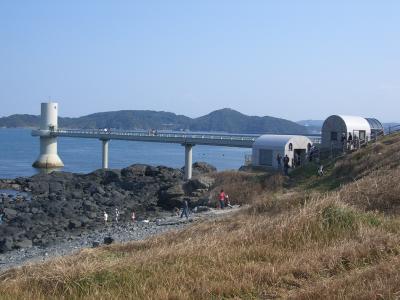 波戸岬で昼食