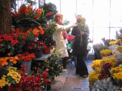 思い立ったが吉日生活。「オランダ行かない?」「いいね!」「じゃ、とりあえず行ってから決めよう!」「そうしよう!」二人旅。