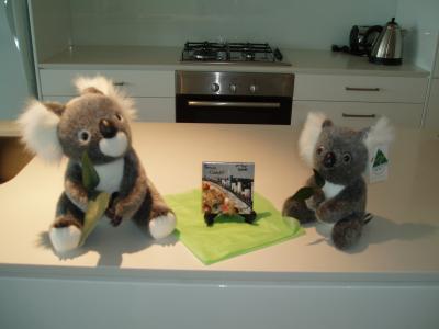 動物とのハグ☆ゴールドコースト！（その2）