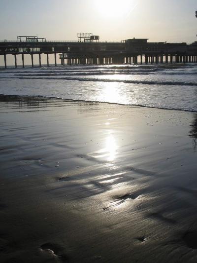 オランダ2日目・珈琲フェルケールドッ!!