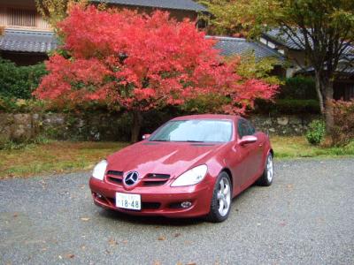 思う壺Barマダムの松茸と紅葉を楽しむ「美山荘」…ワインとグラスとソムリエナイフ、それから2~3日分の本を抱えて宿に篭りっきり