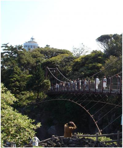 伊豆【海洋公園つり橋】【バガテル公園】