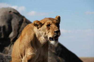 Serengeti National Park