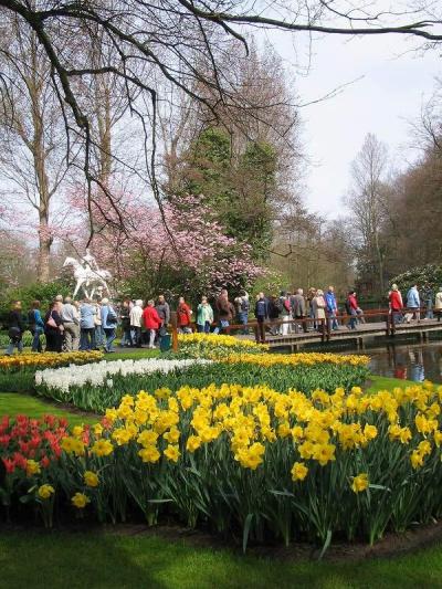 オランダ3日目・欲張ったその? 花見 in キューケンホフ公園!